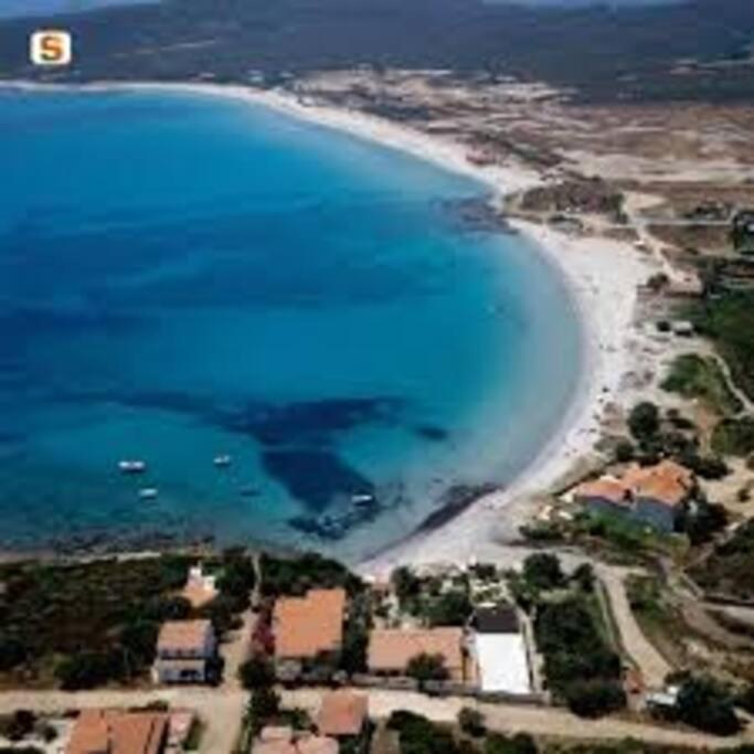 Sardegna Casa A 250 Metri Dal Mare Con Piscina Daire Olbia Dış mekan fotoğraf