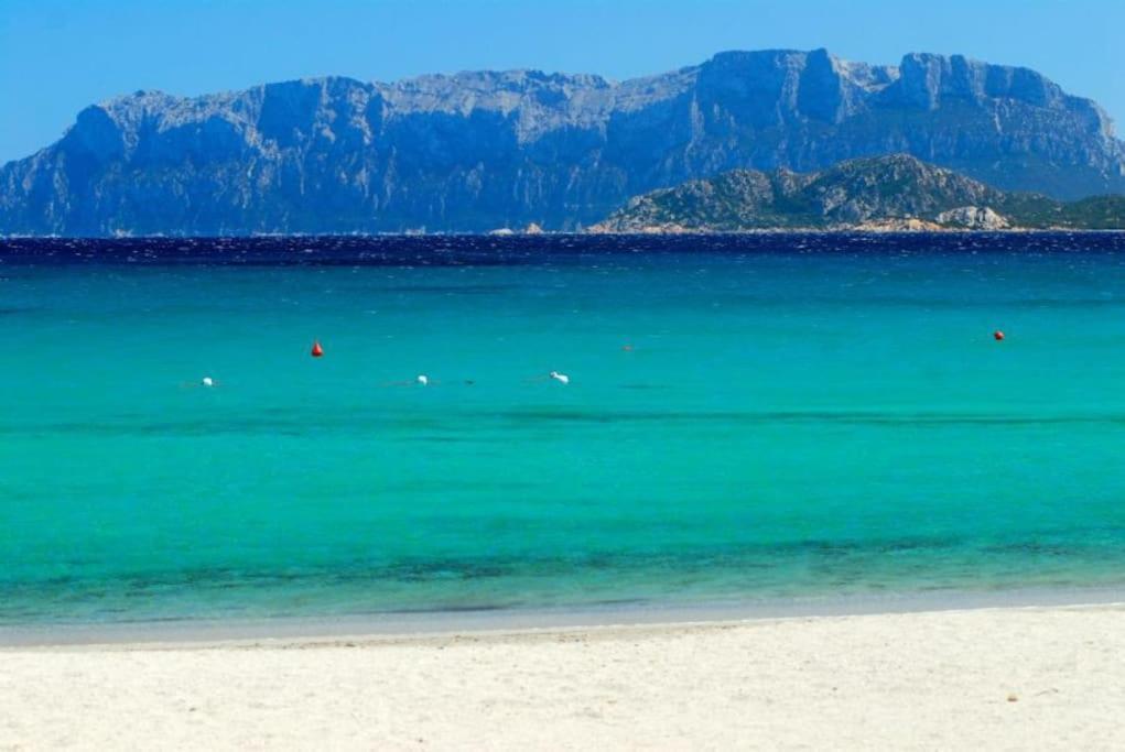 Sardegna Casa A 250 Metri Dal Mare Con Piscina Daire Olbia Dış mekan fotoğraf