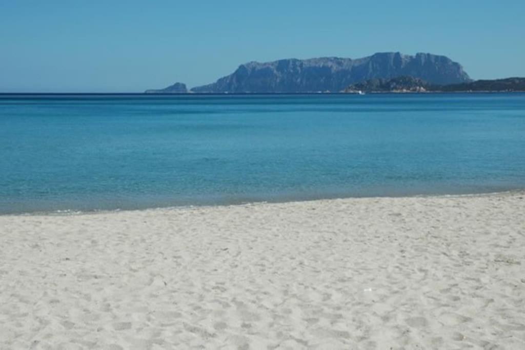 Sardegna Casa A 250 Metri Dal Mare Con Piscina Daire Olbia Dış mekan fotoğraf